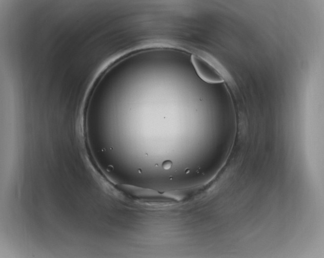 X0000112390996200908131545