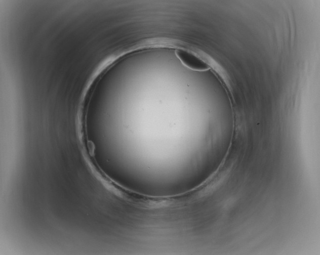 X0000112390997200908131545