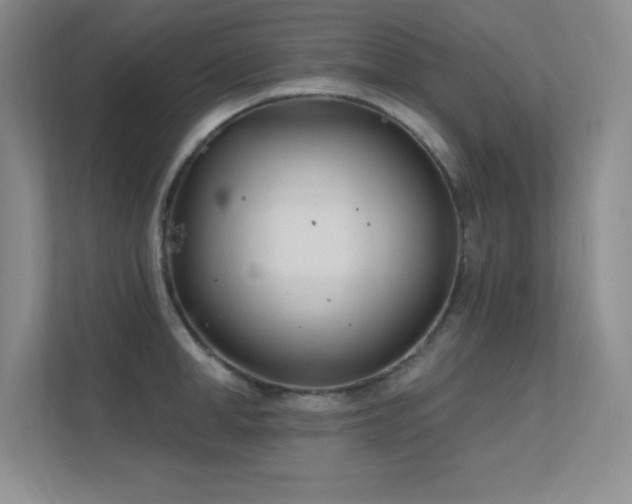 X0000112390998200908131545