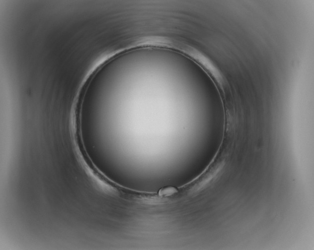 X0000112390999200908131545