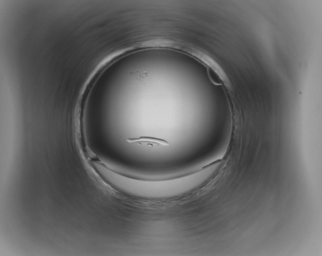 X0000112391000200908131545