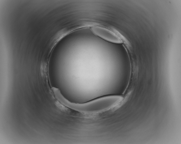 X0000112391001200908131545