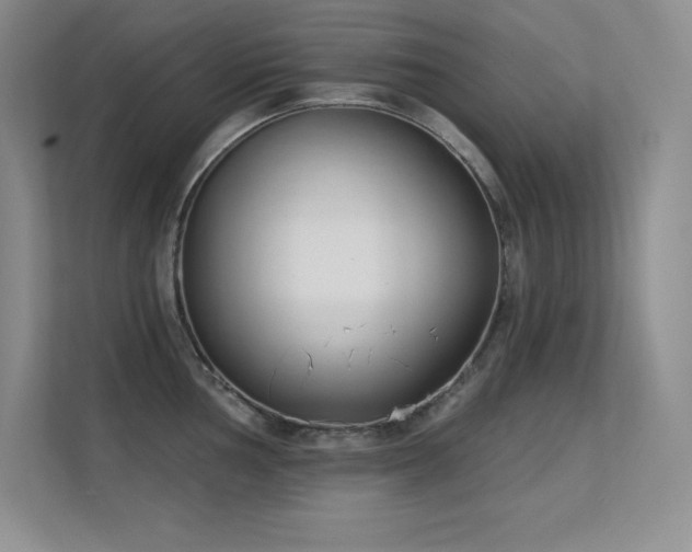 X0000112391002200908131545