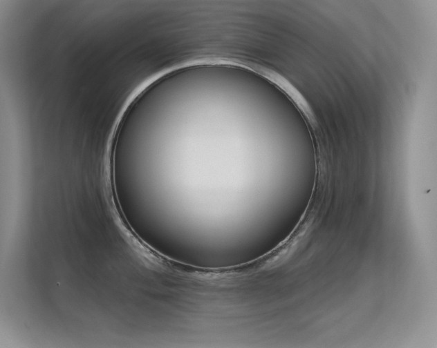 X0000112391004200908131545