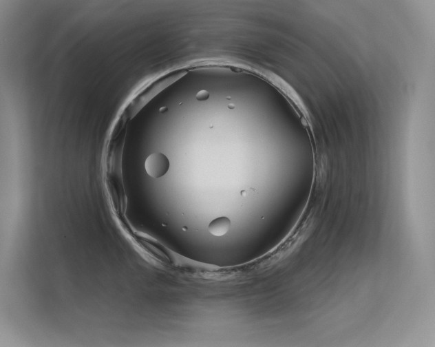 X0000112391005200908131545