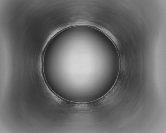 X0000112391006200908131545