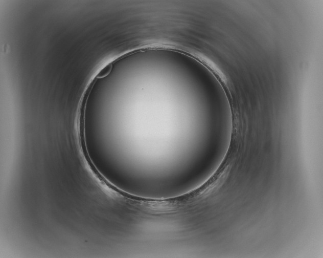 X0000112391007200908131545