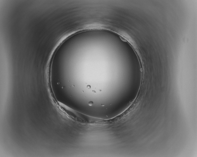 X0000112391008200908131545