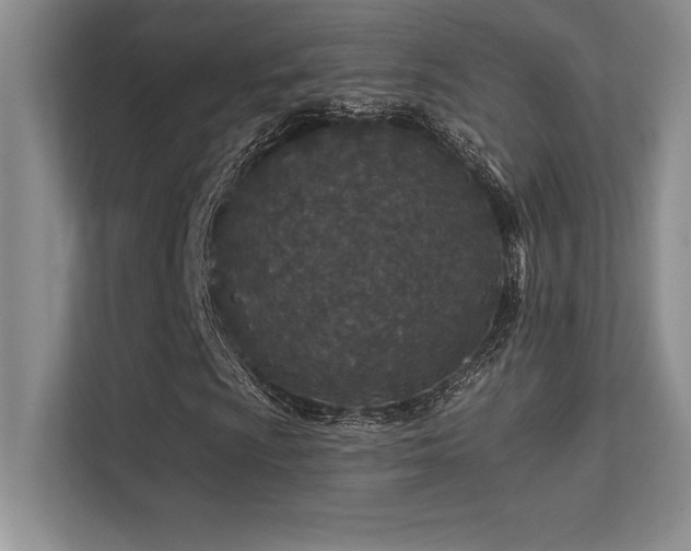 X0000112391009200908131544