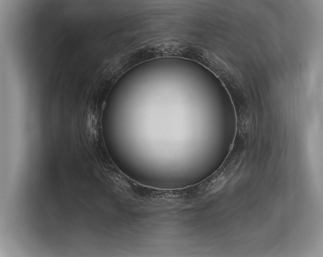 X0000112391010200908131544