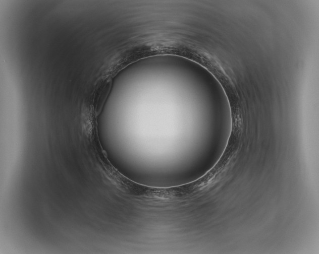 X0000112391012200908131544