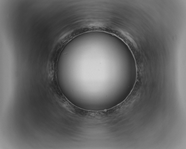 X0000112391015200908131544