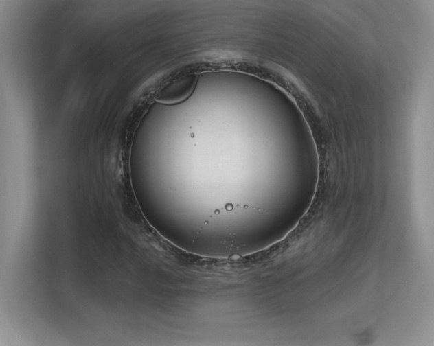 X0000112391016200908131544