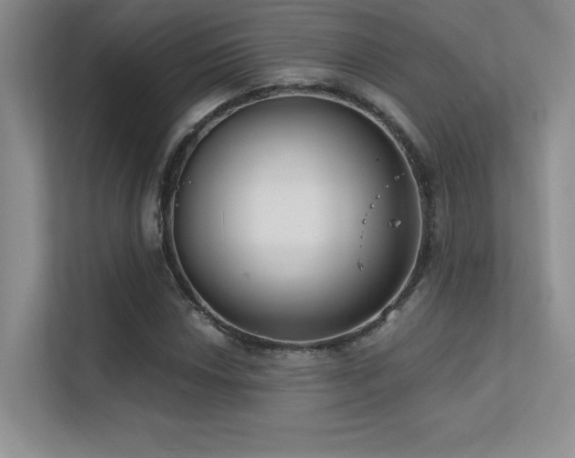 X0000112391018200908131545