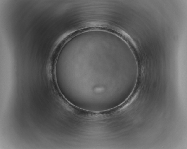 X0000112391019200908131545