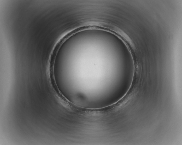 X0000112391020200908131545