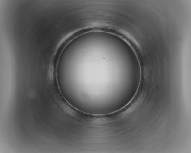 X0000112391021200908131545