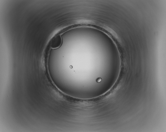 X0000112391022200908131545