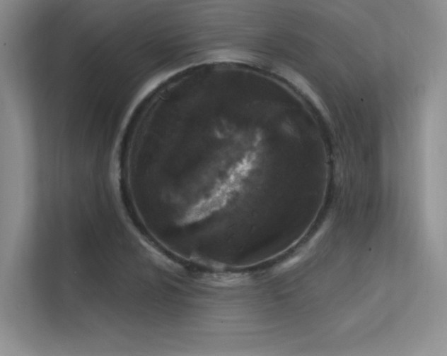 X0000112391024200908131545