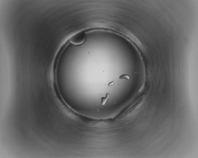 X0000112391028200908131545