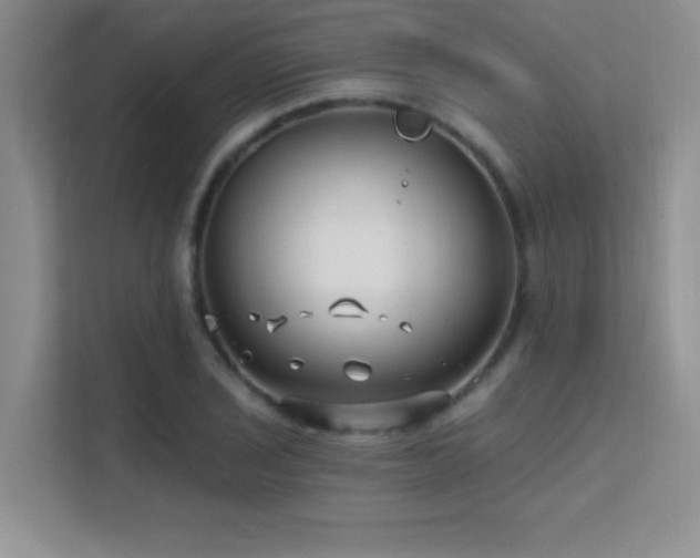 X0000112391029200908131545