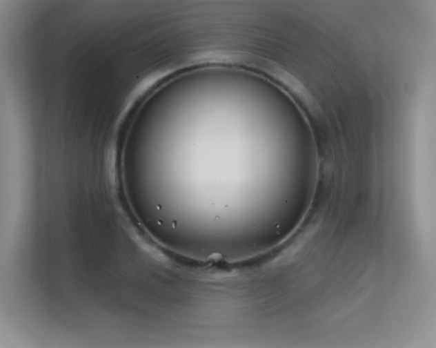 X0000112391030200908131545