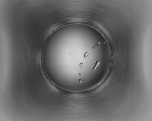 X0000112391033200908131545