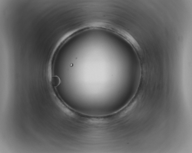 X0000112391036200908131545