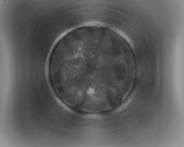 X0000112391037200908131545