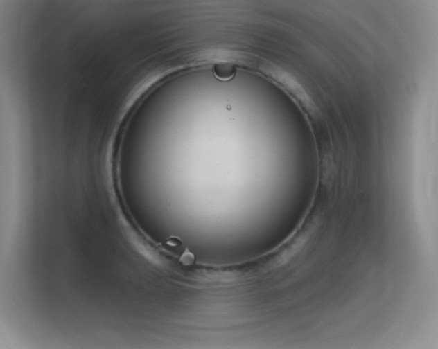 X0000112391039200908131545