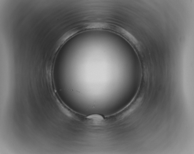 X0000112391041200908131545