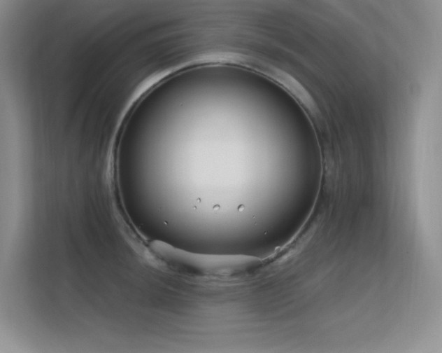 X0000112391044200908131545