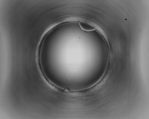 X0000112391045200908131545