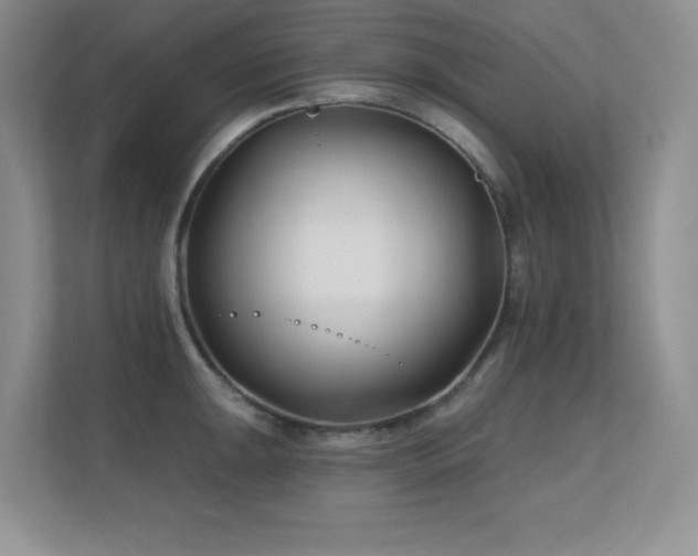 X0000112391047200908131545