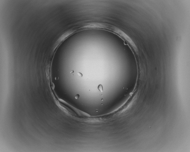 X0000112391049200908131545