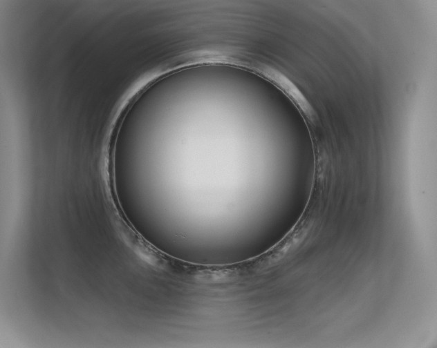 X0000112391051200908131545