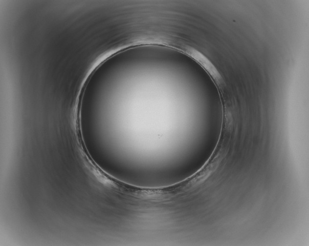 X0000112391052200908131545