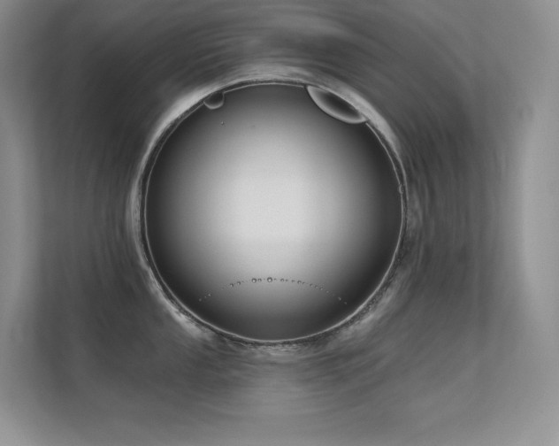 X0000112391053200908131545