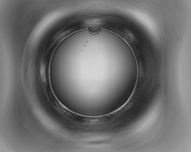 X0000112391054200908131545