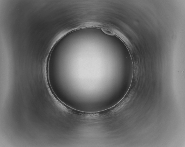 X0000112391055200908131545