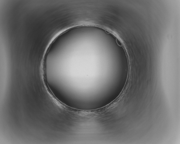 X0000112391056200908131545