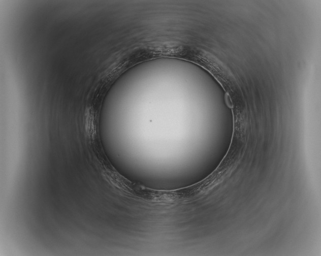 X0000112391058200908131544