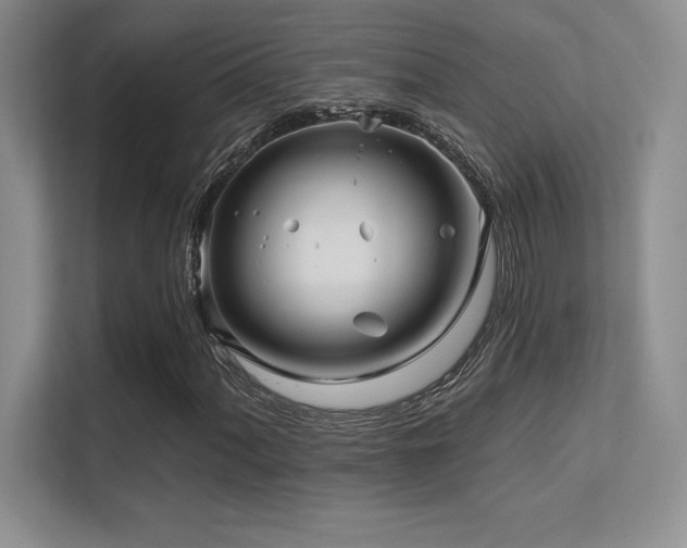 X0000112391060200908131544