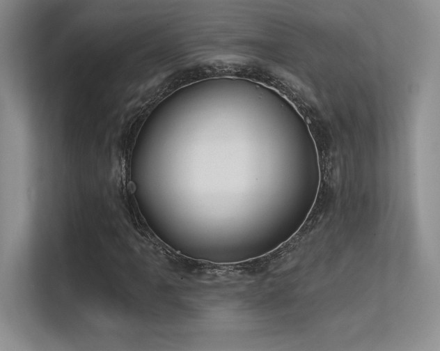 X0000112391061200908131544