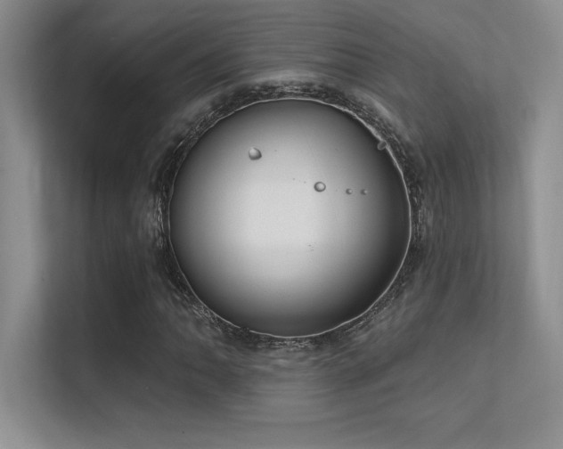 X0000112391062200908131544