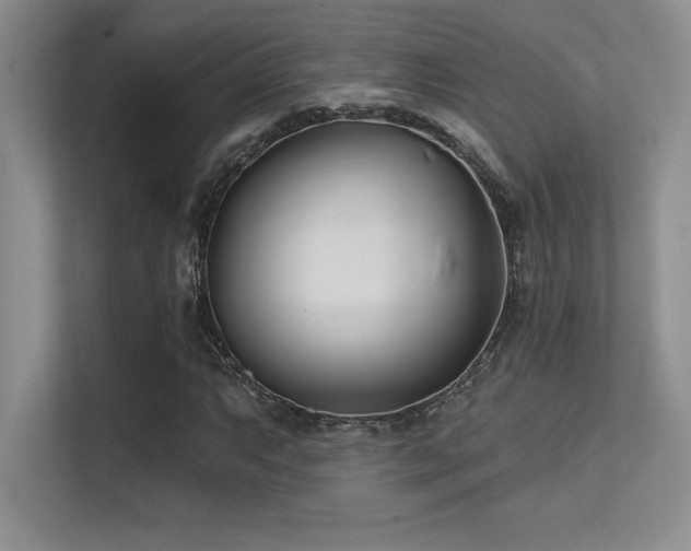 X0000112391063200908131544