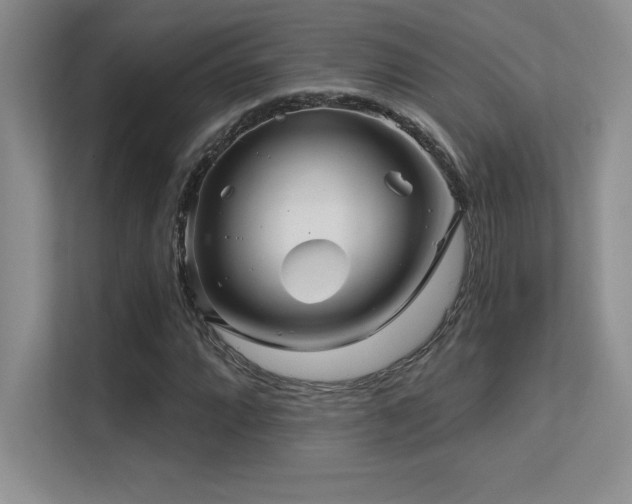 X0000112391064200908131544