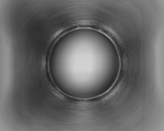 X0000112391065200908131544