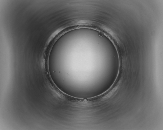 X0000112391066200908131544