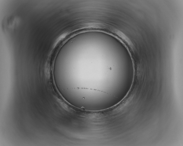 X0000112391067200908131544